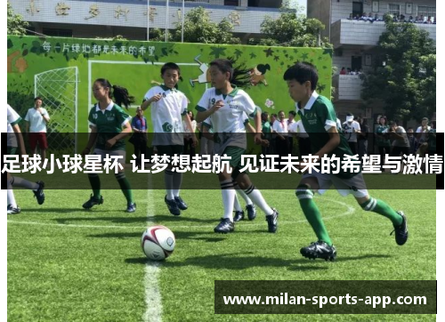 足球小球星杯 让梦想起航 见证未来的希望与激情